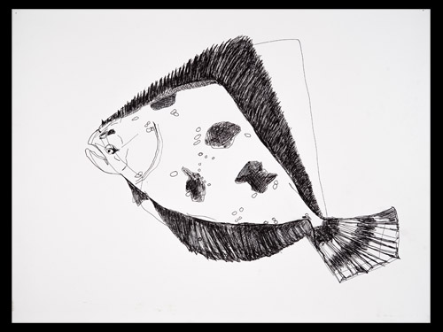 Fluke